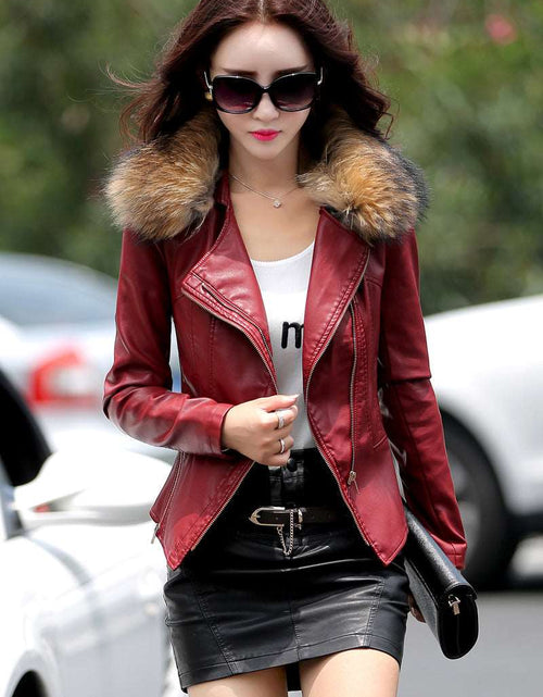 Load image into Gallery viewer, Short Style Slim-Fit Plus Cotton Belt Raccoon Fur Collar Coat Wine Red
