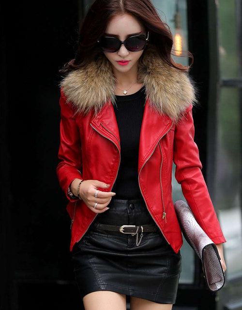 Load image into Gallery viewer, Short Style Slim-Fit Plus Cotton Belt Raccoon Fur Collar Coat Red
